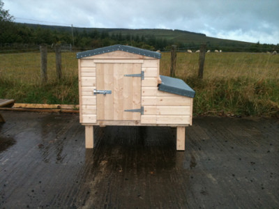 Mullan Shed - Chicken Coop