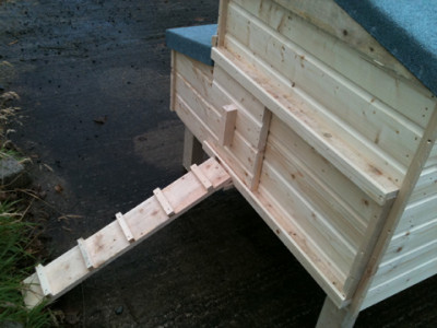 Mullan Shed - Chicken Coop