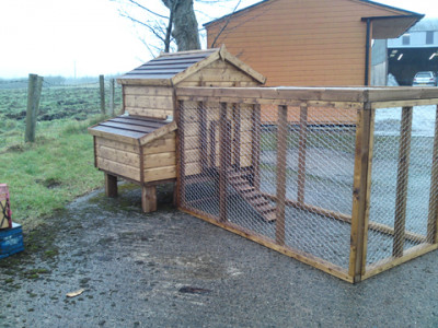Mullan Shed - Chicken Coop