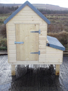 Mullan Shed